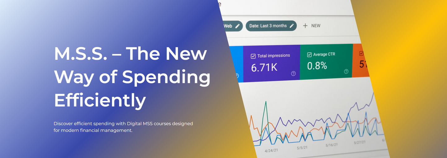M.S.S. - The New Way of Spending Efficiently